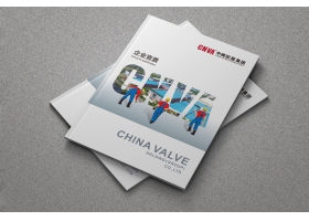 CNVA-�з��عɼ���